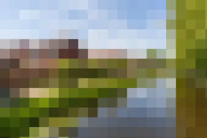 Lindelaan 29 Alblasserdam thumbnail 38