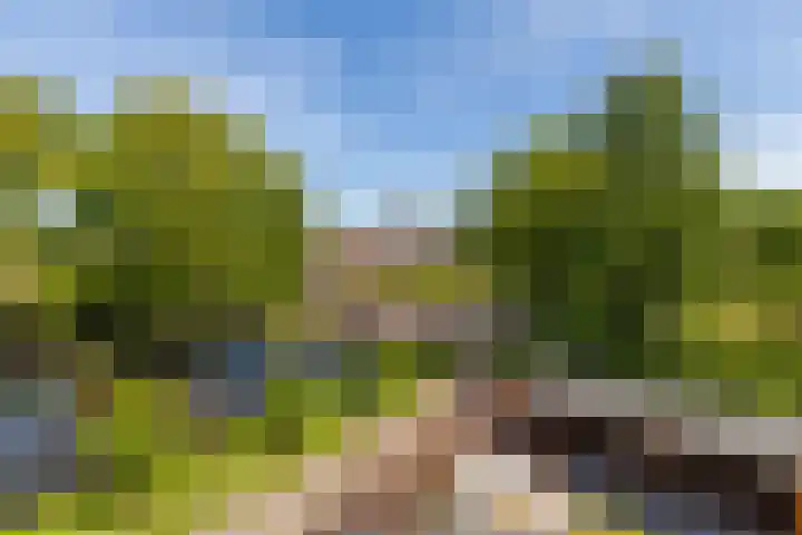 Lindelaan 29 Alblasserdam thumbnail 39
