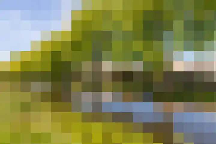 Lindelaan 29 Alblasserdam thumbnail 40