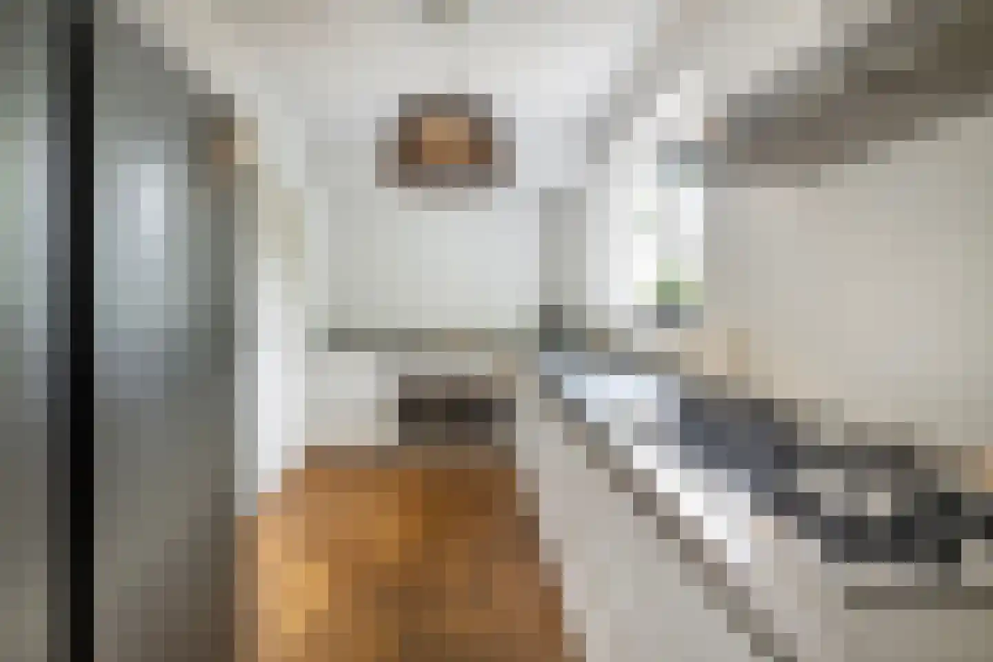 Lindelaan 3 Ede thumbnail 13