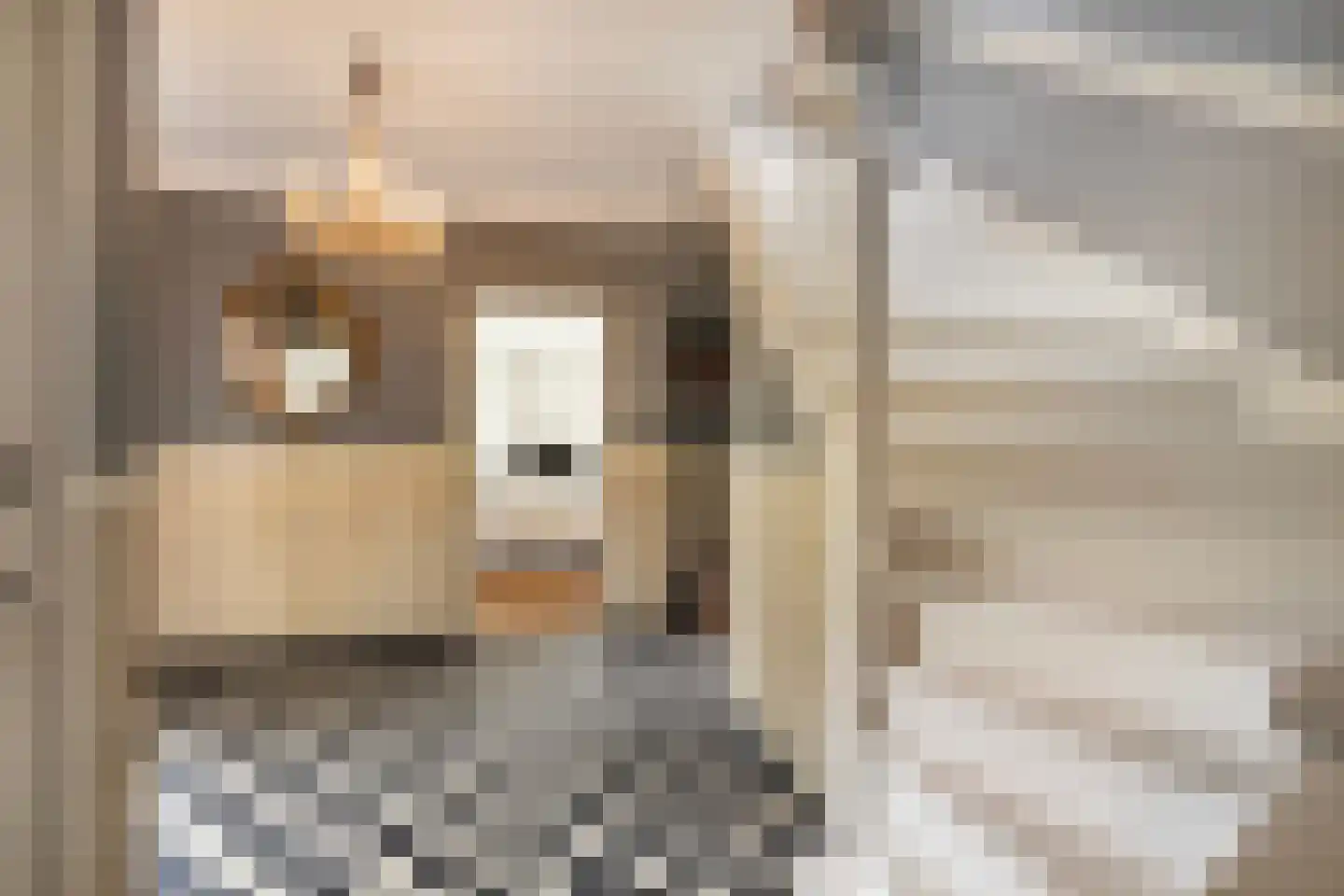 Lindelaan 3 Ede thumbnail 22