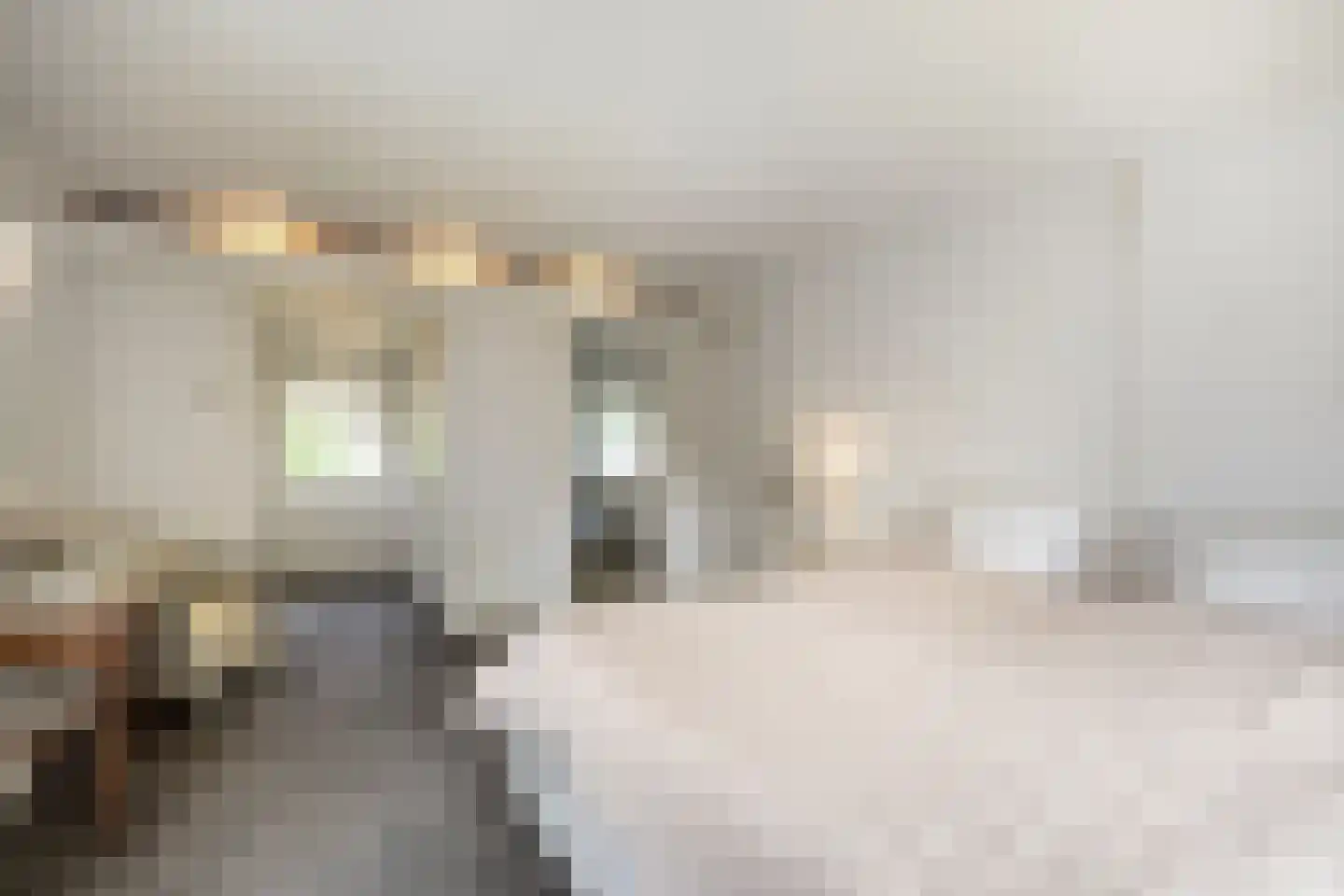 Lindelaan 3 Ede thumbnail 27