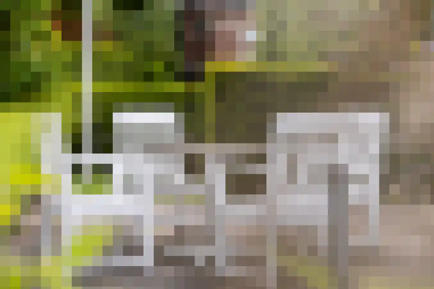 Lindelaan 3 Ede thumbnail 42