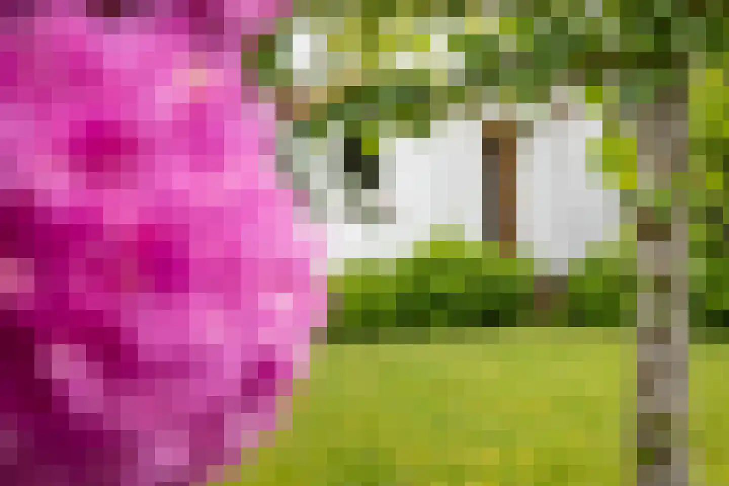 Lindelaan 3 Ede thumbnail 54