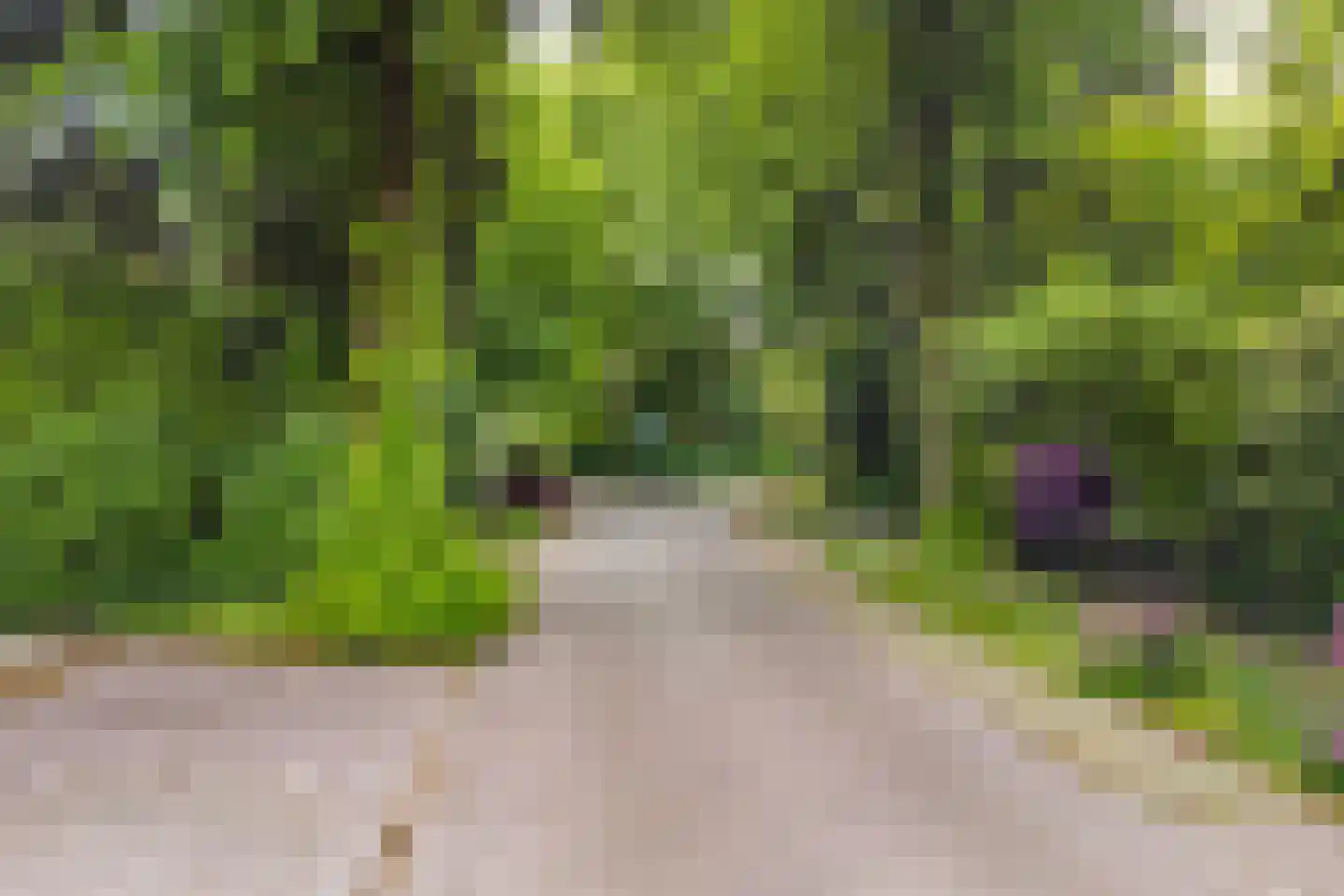 Lindelaan 3 Ede thumbnail 56