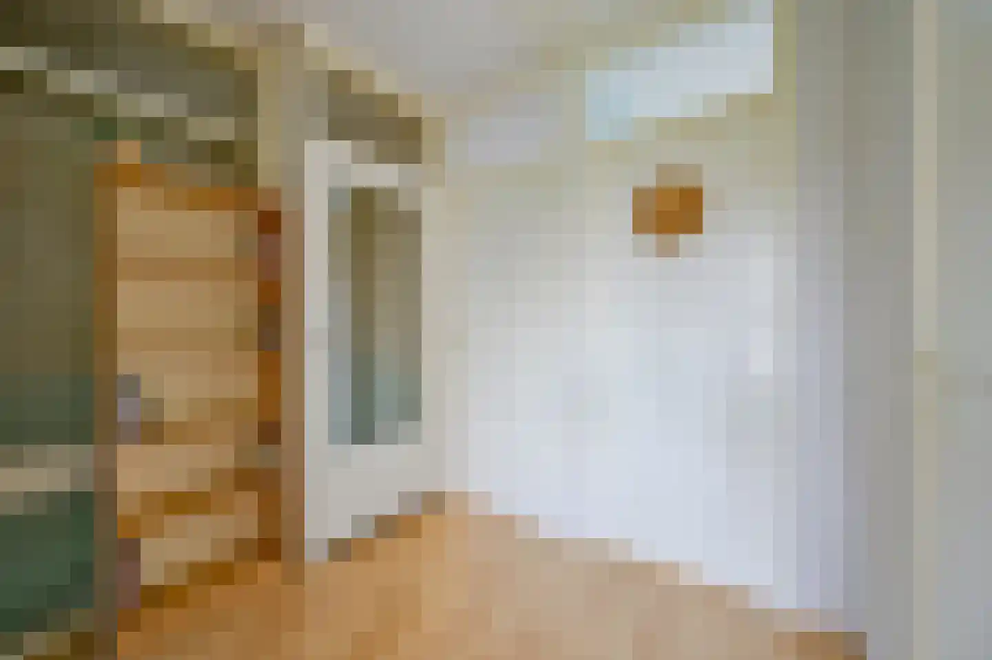 Lindelaan 31 Middenmeer thumbnail 29
