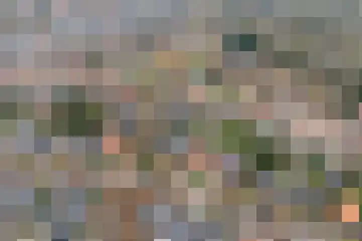 Lindelaan 32 Driebergen-Rijsenburg thumbnail 47