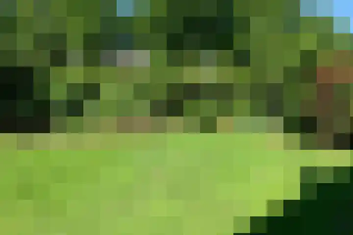 Lindelaan 32 Driebergen-Rijsenburg thumbnail 48