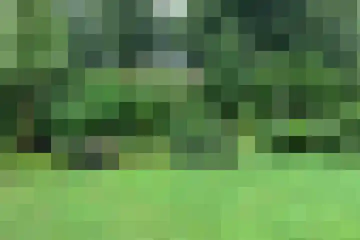 Lindelaan 32 Driebergen-Rijsenburg thumbnail 49