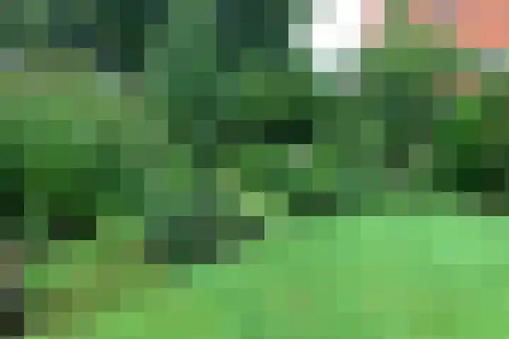Lindelaan 32 Driebergen-Rijsenburg thumbnail 50