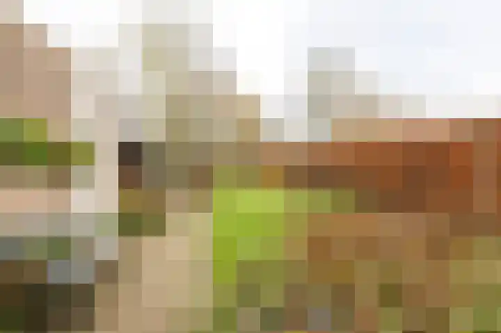 Lindelaan 32 Meteren thumbnail 30