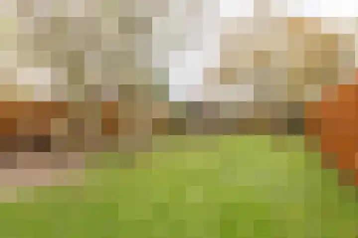 Lindelaan 32 Meteren thumbnail 31