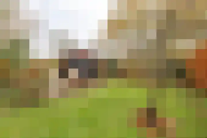 Lindelaan 32 Meteren thumbnail 32