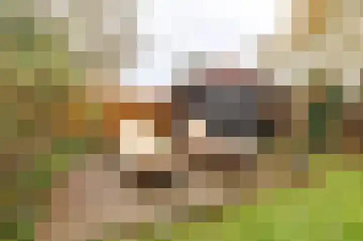 Lindelaan 32 Meteren thumbnail 33