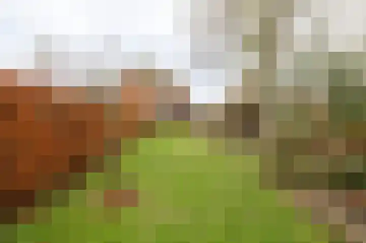 Lindelaan 32 Meteren thumbnail 36