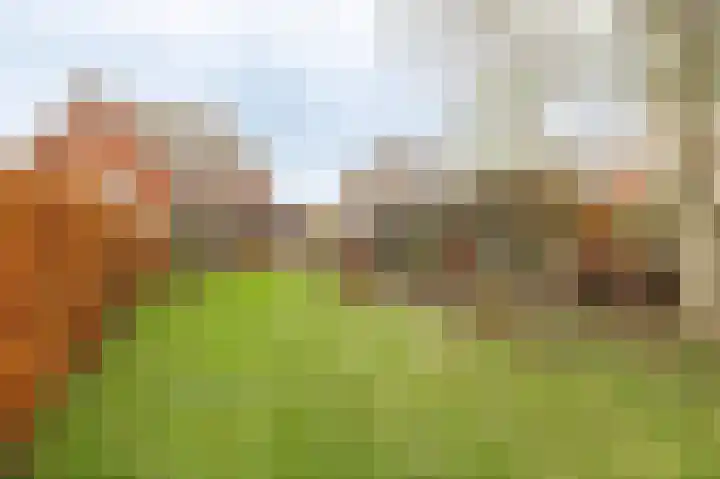 Lindelaan 32 Meteren thumbnail 37