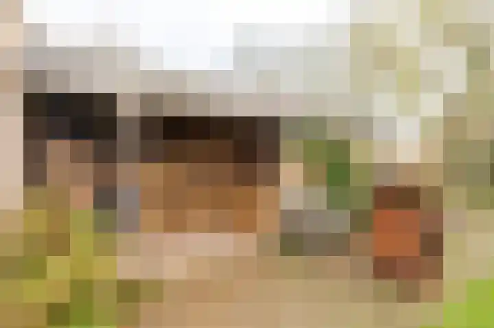 Lindelaan 32 Meteren thumbnail 39