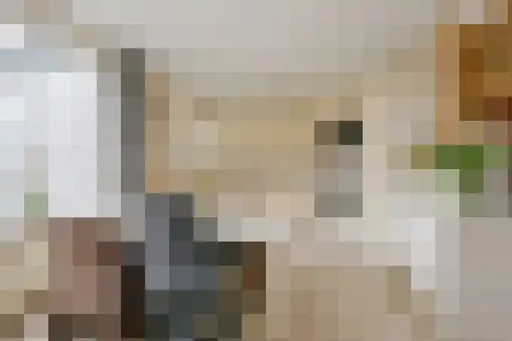 Lindelaan 32 Middenmeer thumbnail 12