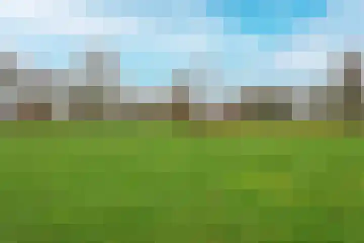 Lindelaan 32 Middenmeer thumbnail 29