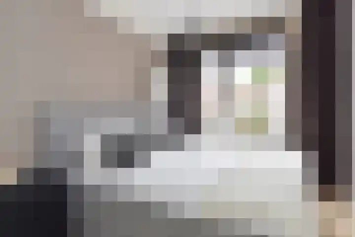 Lindelaan 329 Rijswijk thumbnail 14