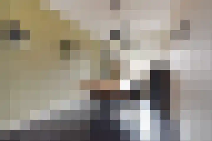 Lindelaan 329 Rijswijk thumbnail 7