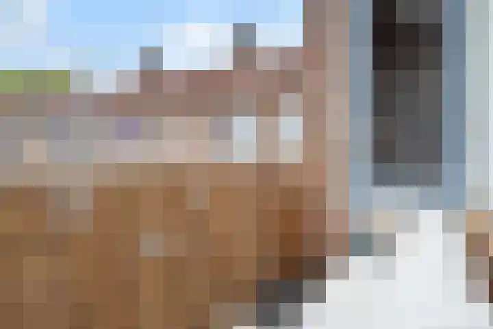Lindelaan 329 Rijswijk thumbnail 9