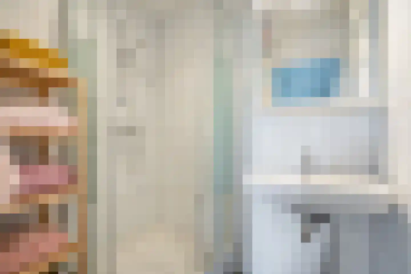 Lindelaan 333 Rijswijk thumbnail 20