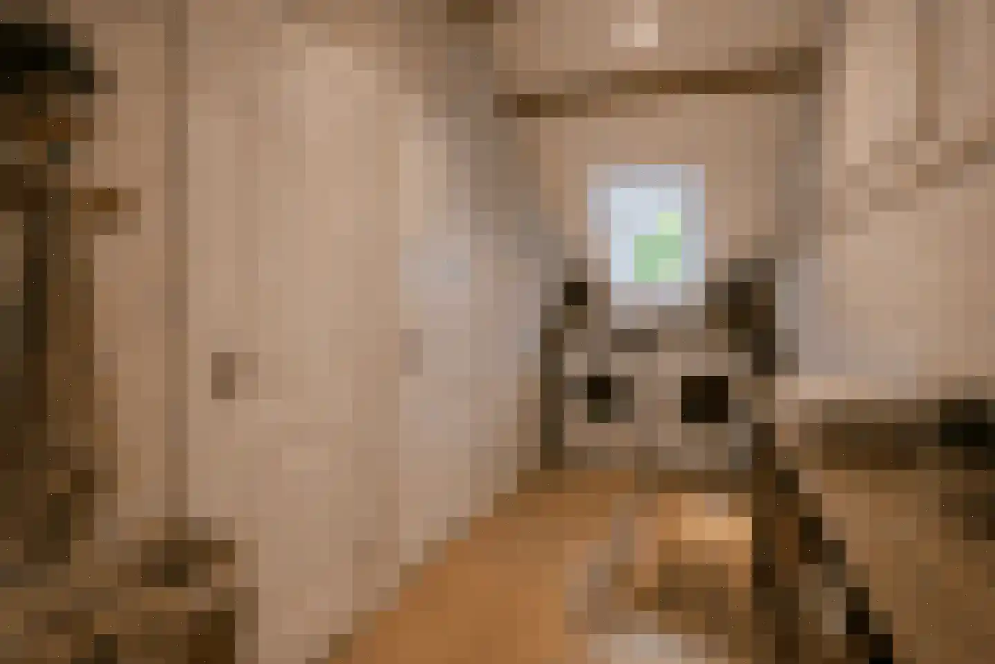 Lindelaan 333 Rijswijk thumbnail 24