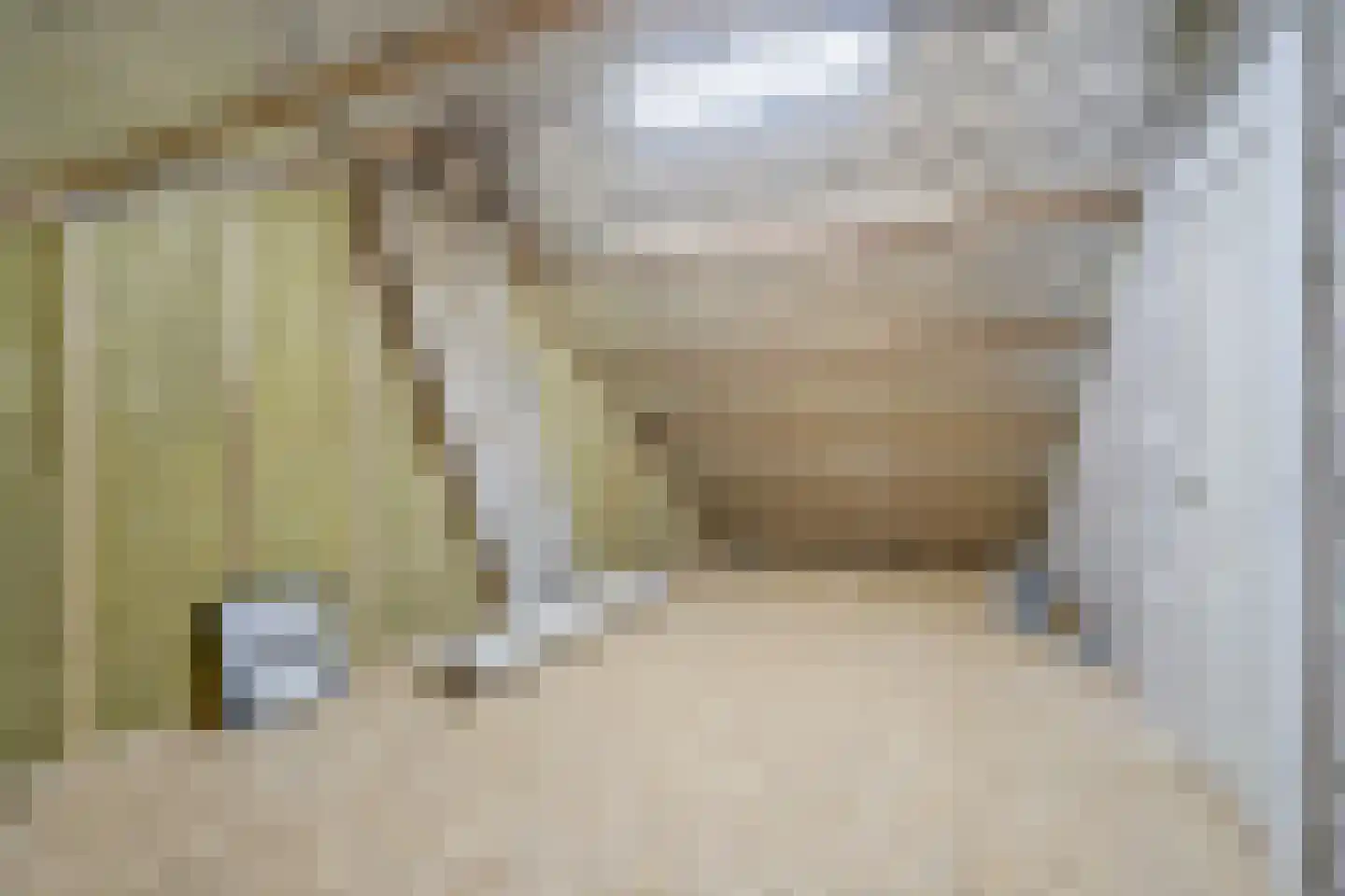 Lindelaan 333 Rijswijk thumbnail 29