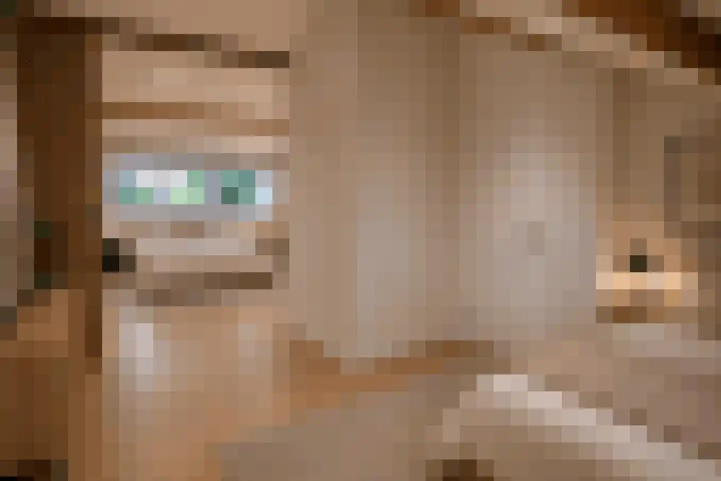 Lindelaan 333 Rijswijk thumbnail 30