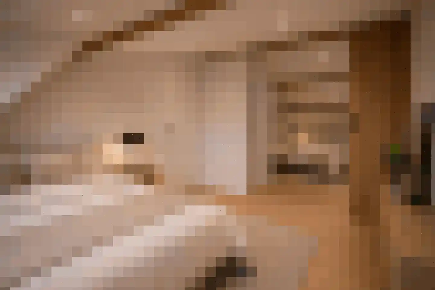 Lindelaan 333 Rijswijk thumbnail 32