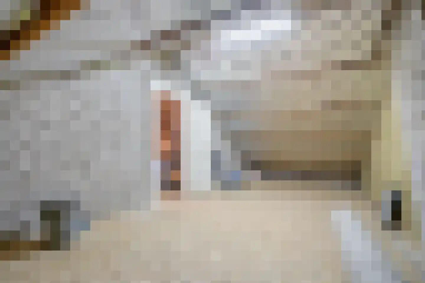 Lindelaan 333 Rijswijk thumbnail 33