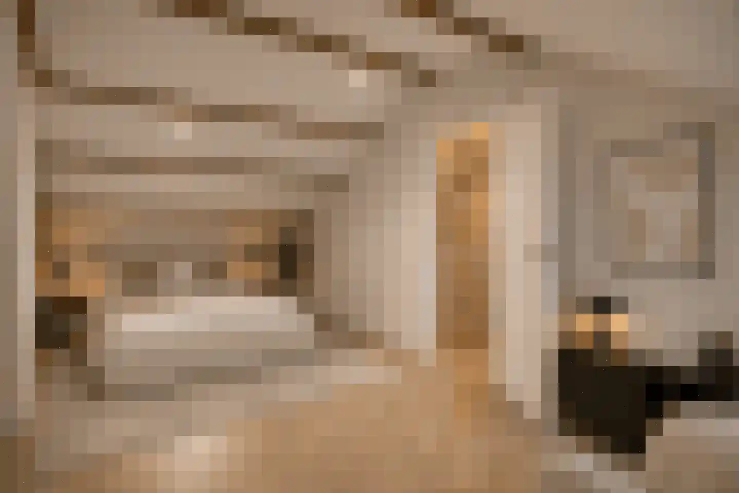 Lindelaan 333 Rijswijk thumbnail 4