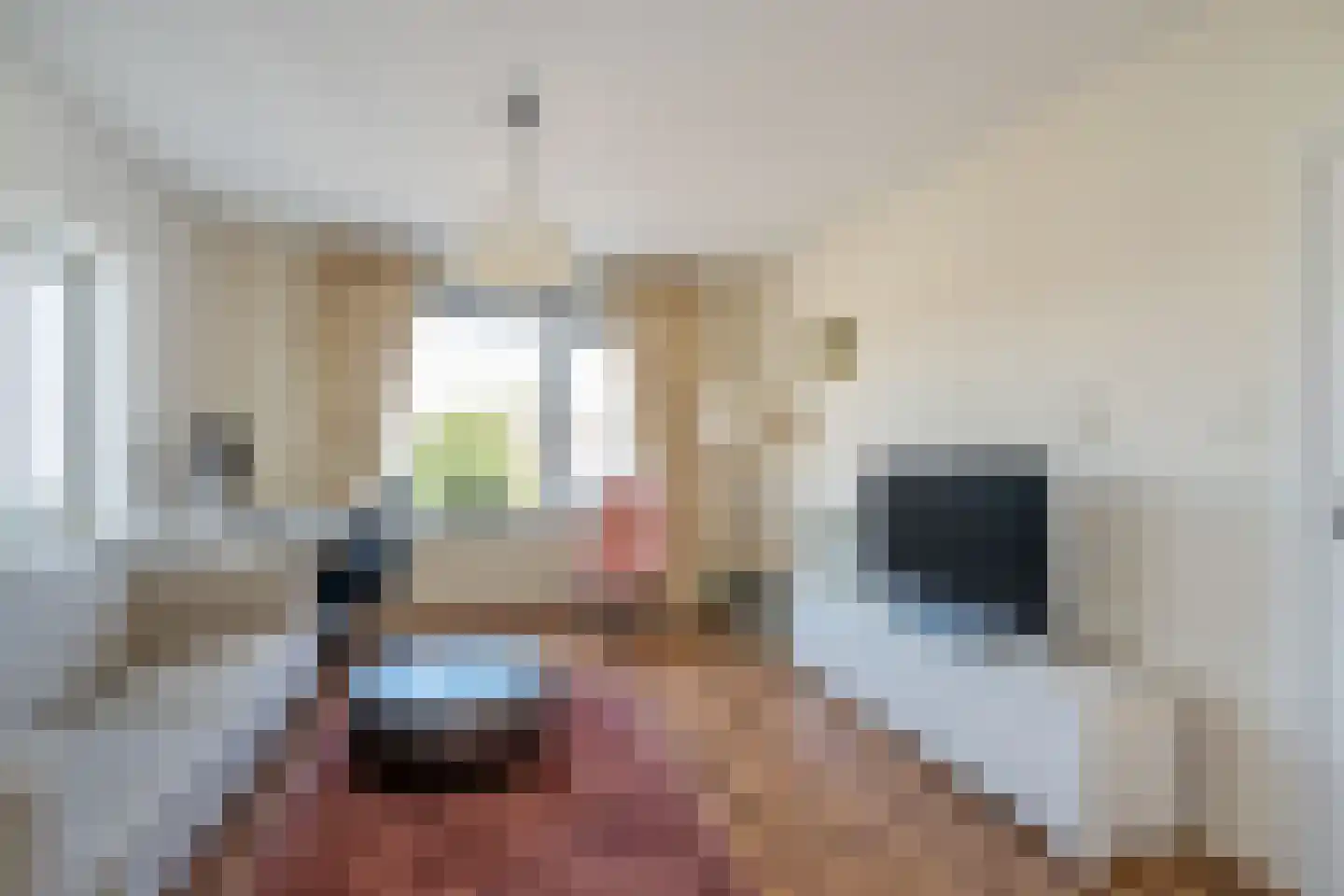Lindelaan 333 Rijswijk thumbnail 8