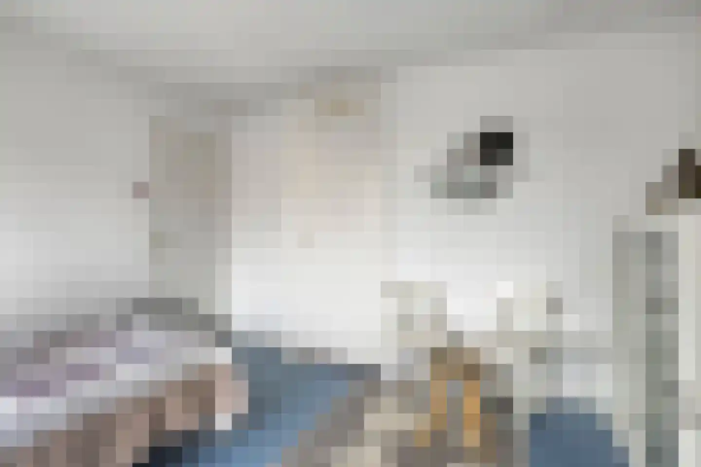Lindelaan 34 Roermond thumbnail 23
