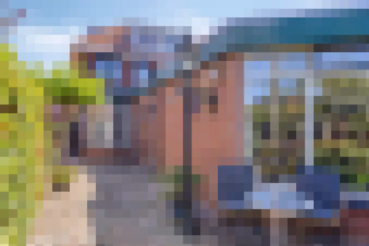 Lindelaan 35 Goor thumbnail 26