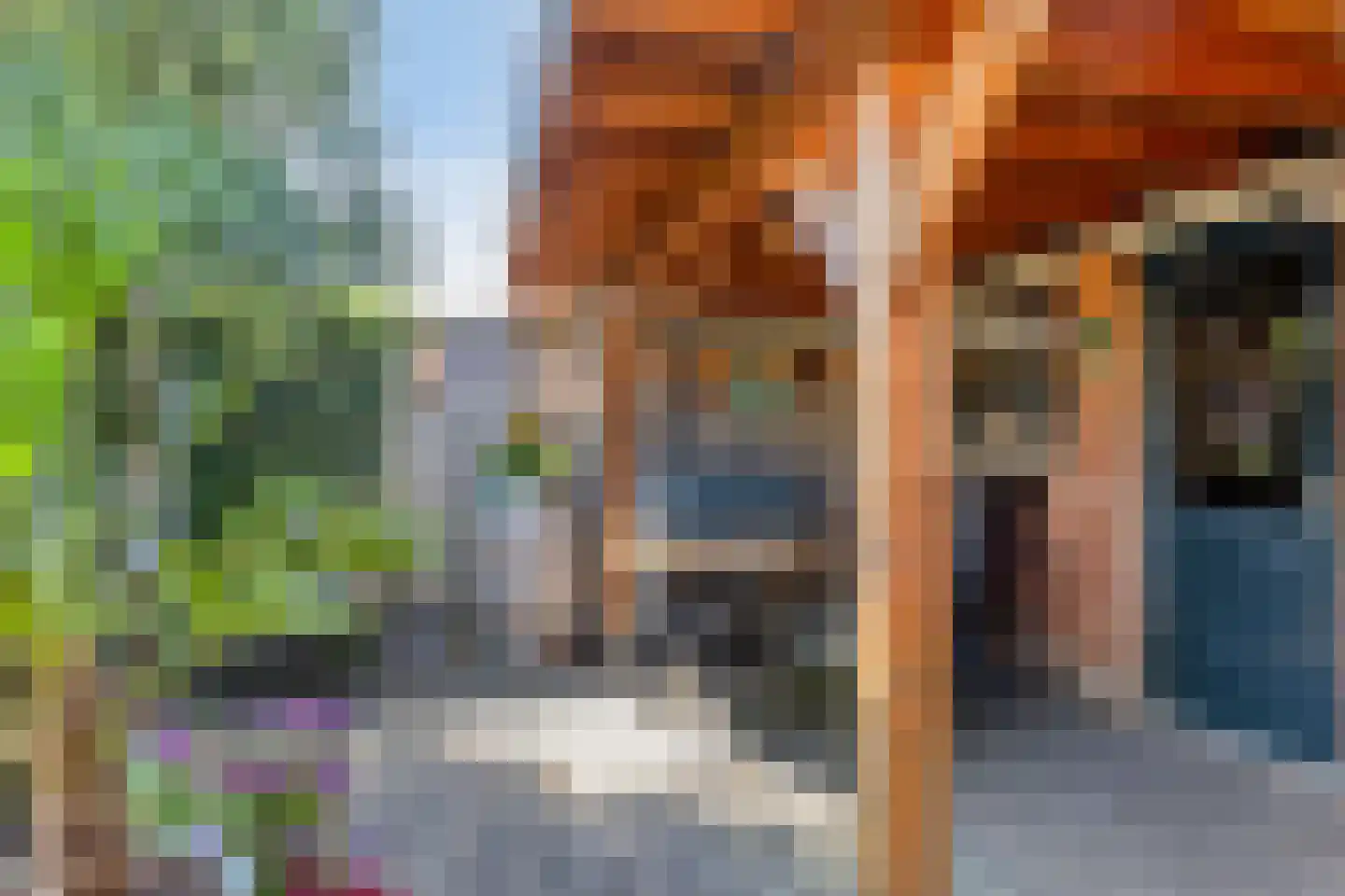 Lindelaan 35 Goor thumbnail 30