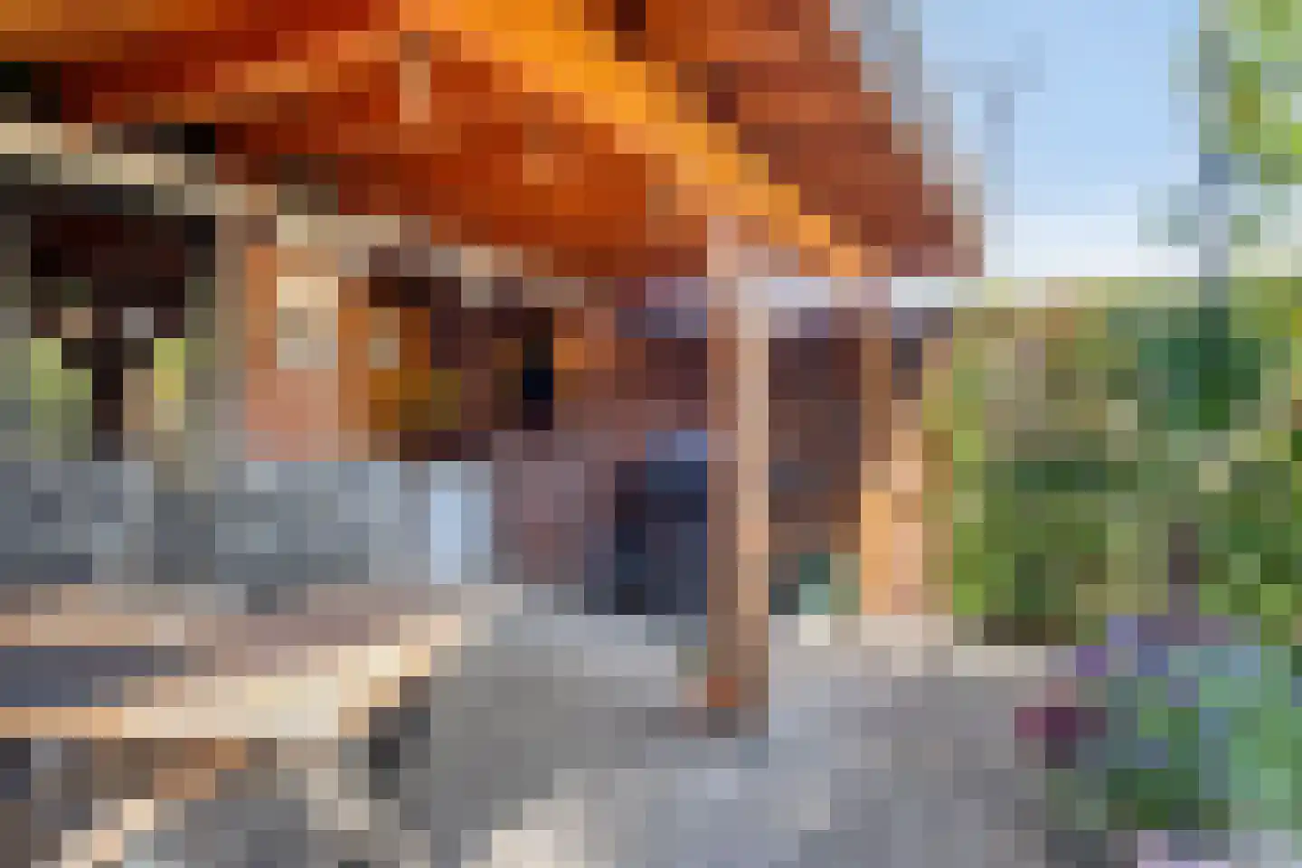 Lindelaan 35 Goor thumbnail 31