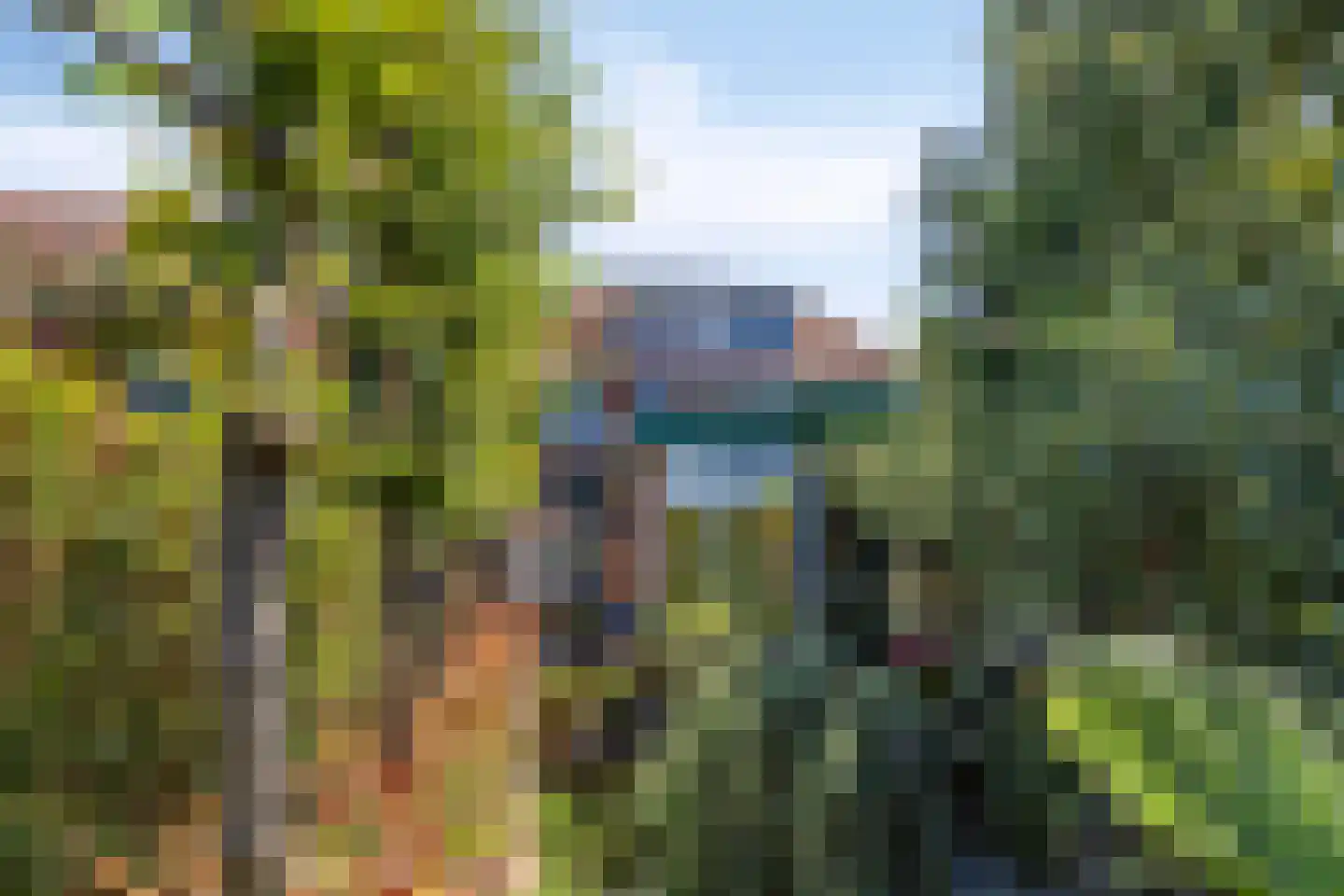 Lindelaan 35 Goor thumbnail 34