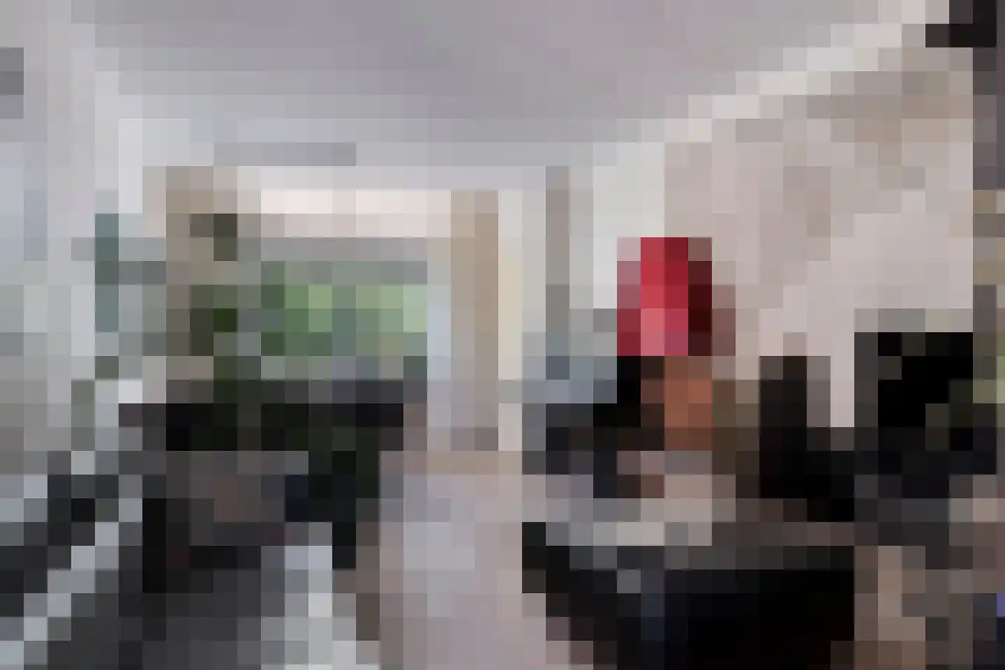 Lindelaan 35 Goor thumbnail 6