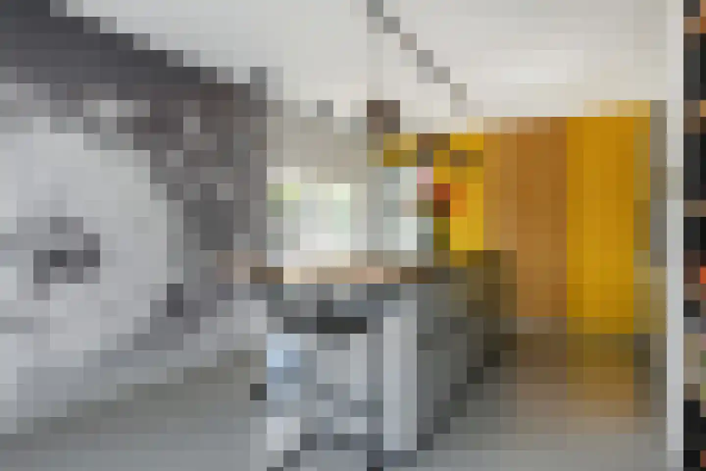 Lindelaan 35 Leidschendam thumbnail 15