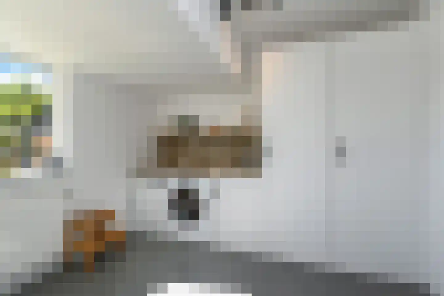 Lindelaan 35 Leidschendam thumbnail 20