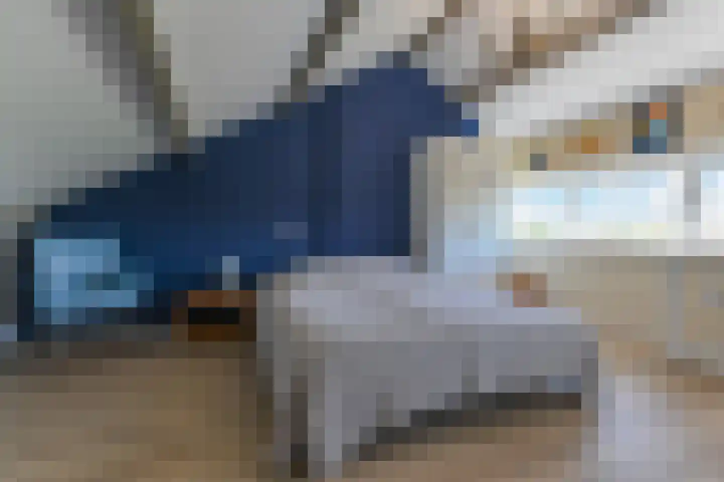 Lindelaan 35 Leidschendam thumbnail 34