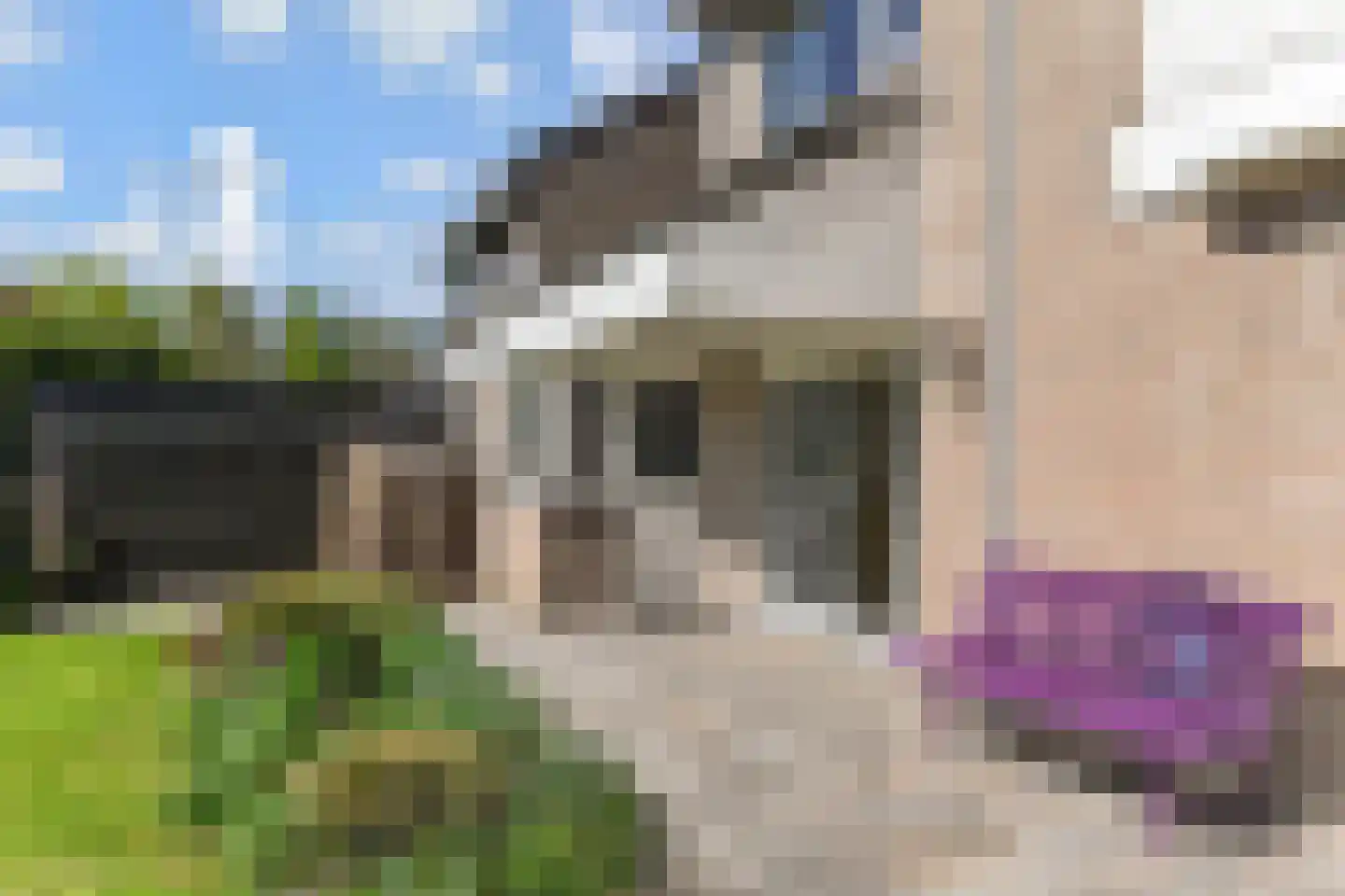 Lindelaan 35 Leidschendam thumbnail 40