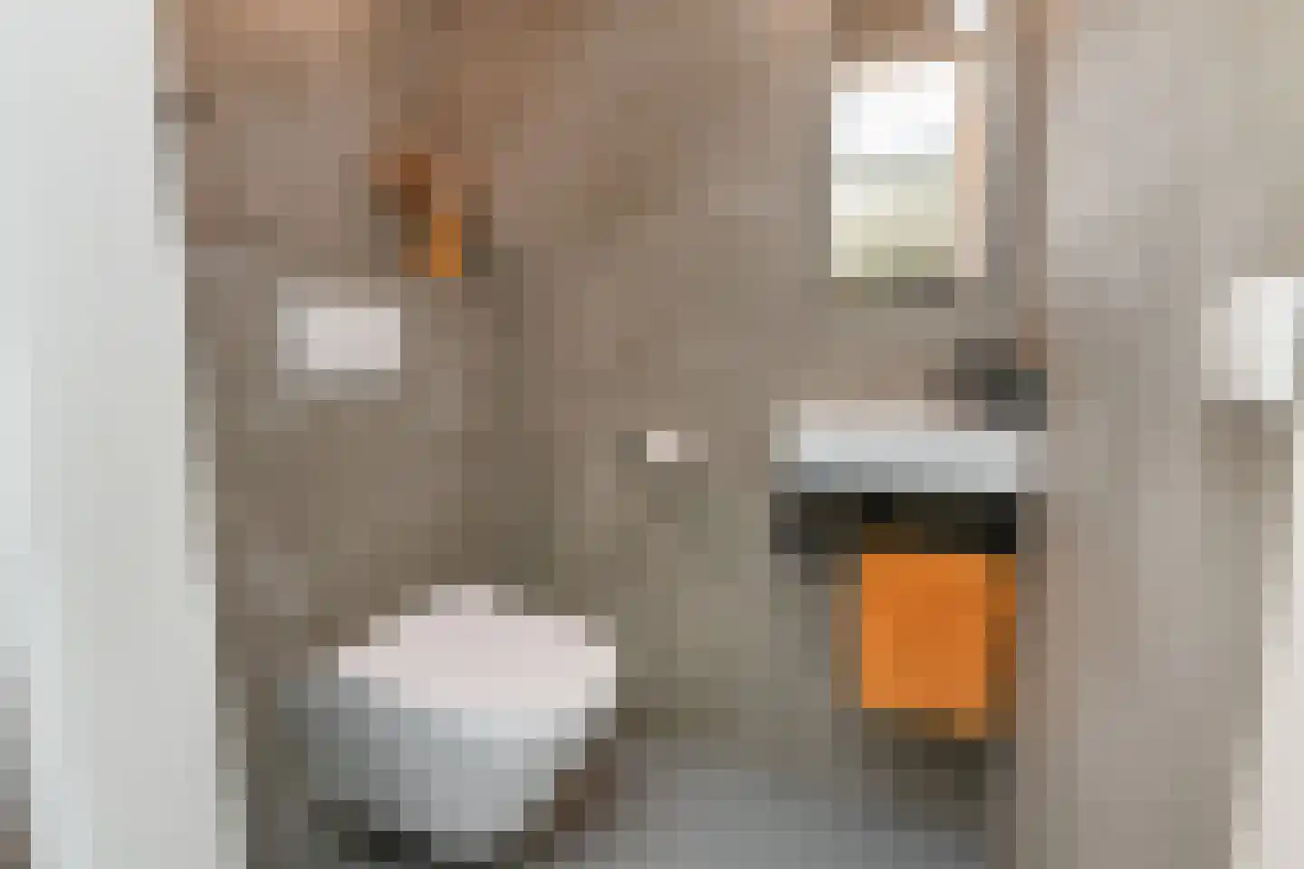Lindelaan 35 Leidschendam thumbnail 6