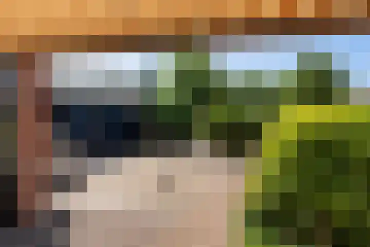 Lindelaan 35 Westerbork thumbnail 21