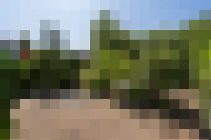 Lindelaan 35 Westerbork thumbnail 23