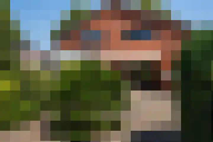 Lindelaan 35 Westerbork thumbnail 26