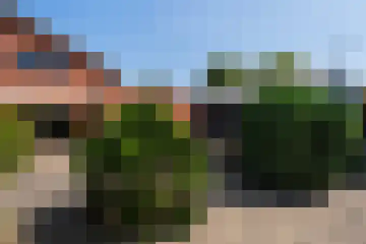 Lindelaan 35 Westerbork thumbnail 27