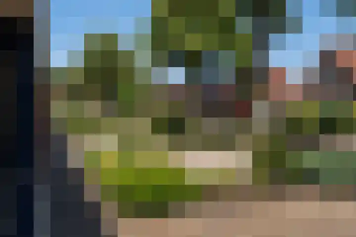 Lindelaan 35 Westerbork thumbnail 29